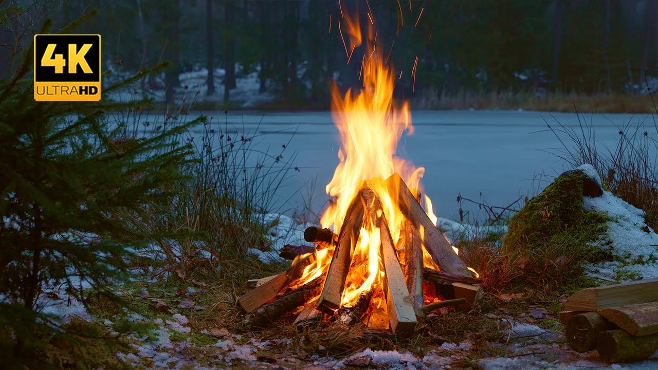 Winter Campfire by the Forest ❄️ Natural Scenery for Relaxation