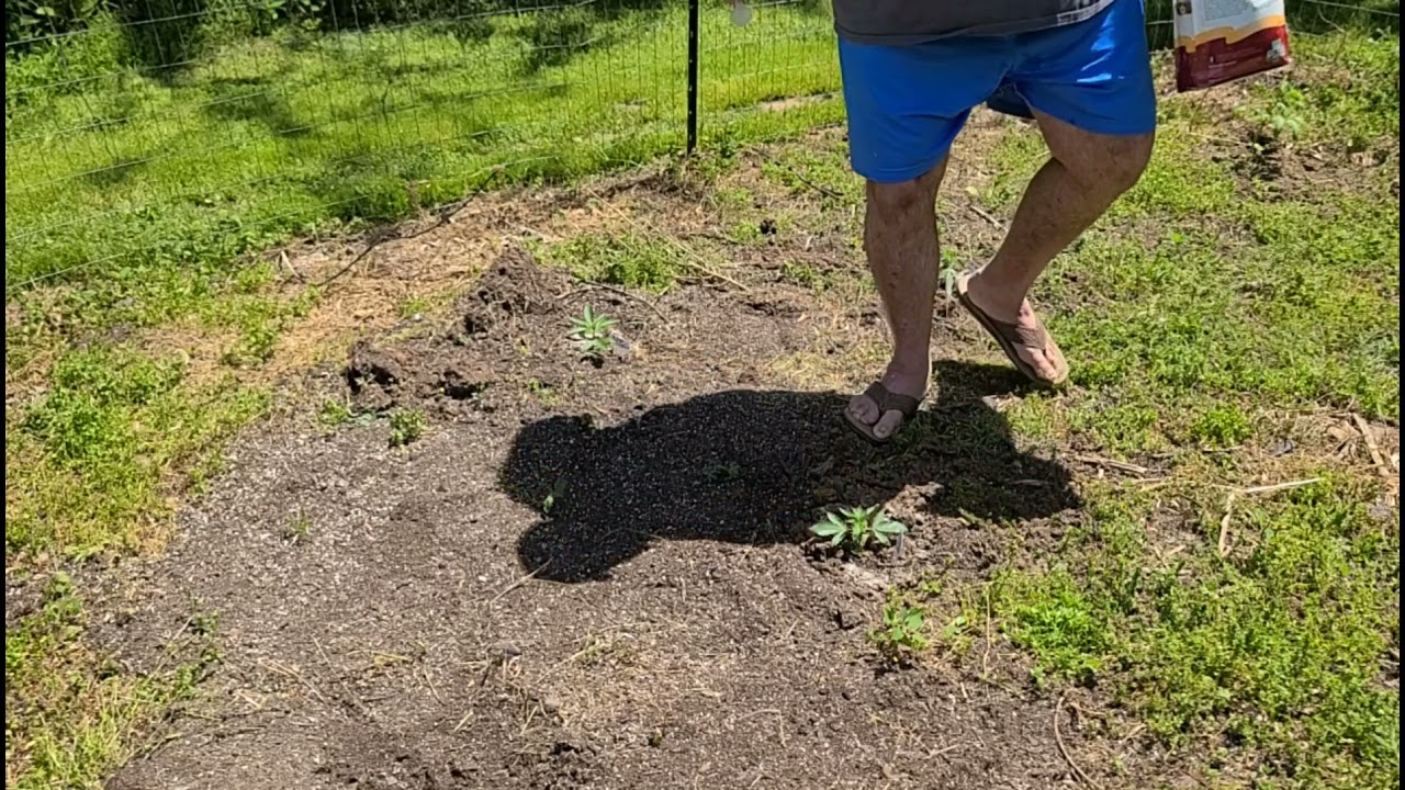 Outdoor Auto Grow Series #marshydro_amazon