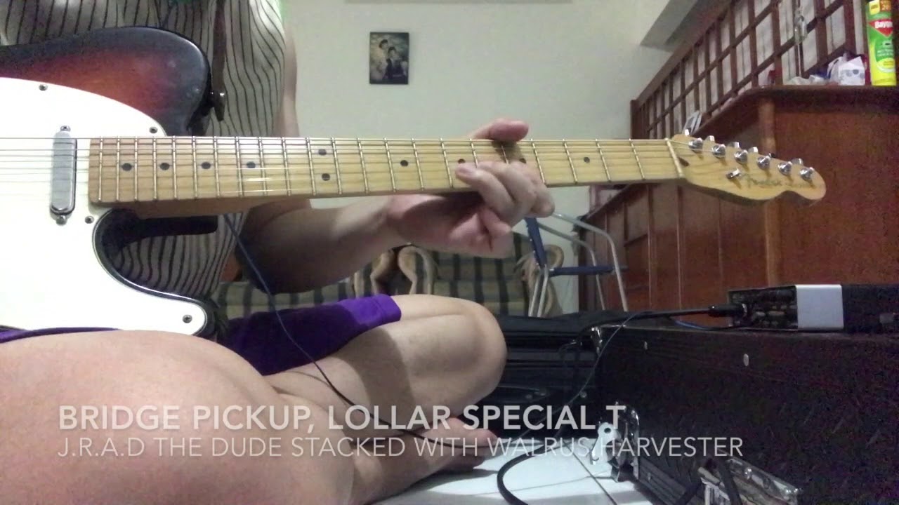 LOLLAR PICKUPS SPECIAL BRIDGE T and VINTAGE NECK T DEMO