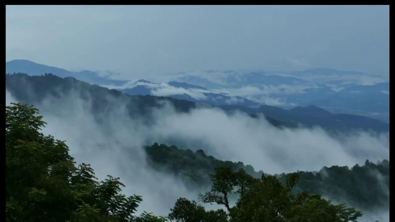LIVE 🌙 Sons Naturais + Paisagem Tranquila  Sono Profundo e Alívio do Estresse | JC