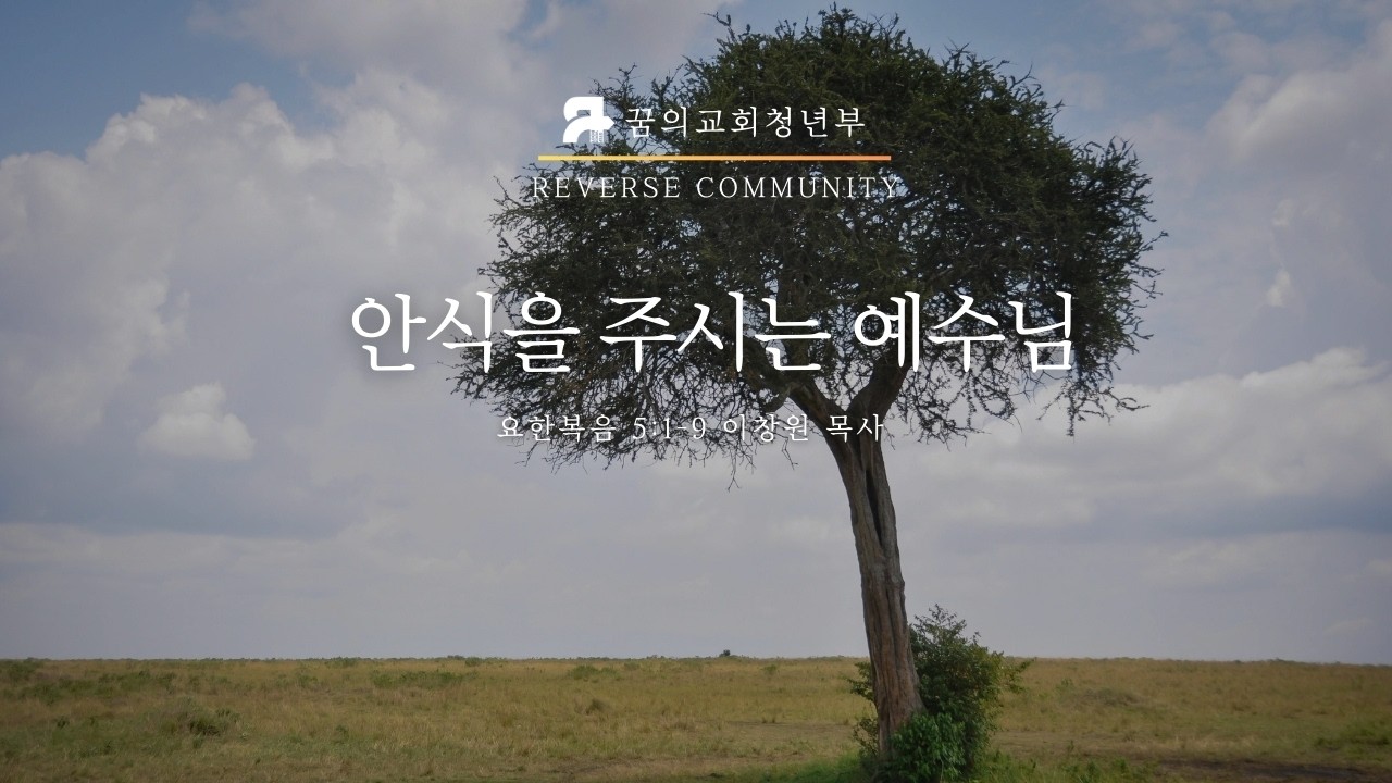 [꿈의교회 청년예배] 안식을 주시는 예수님 | 이창원 목사 | 2026-02-15
