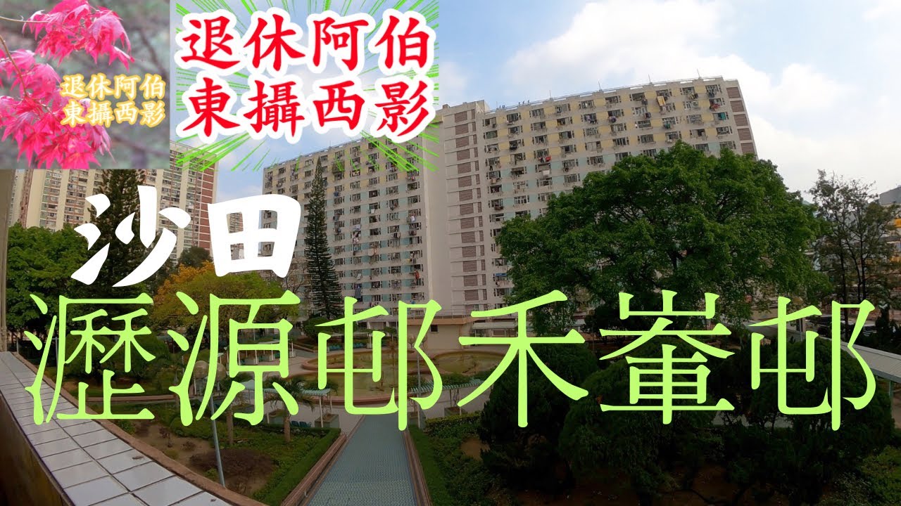 NO. 137 : 沙田-瀝源邨/禾輋邨步行拍攝街景￼🎥📽️
