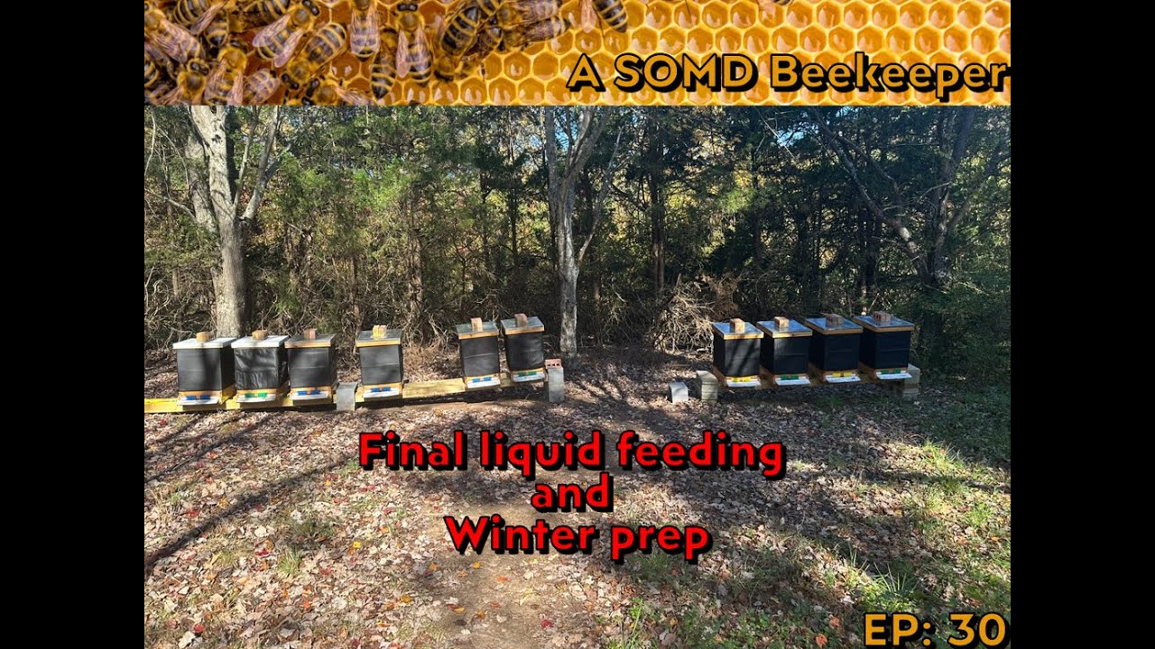 SOMD Beekeeping ep: 30 - Winter Prep