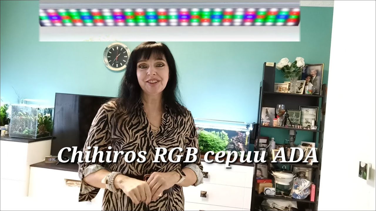 ЧП с Лампой Chihiros RGB @RutaVlog @HozajushkaRuta