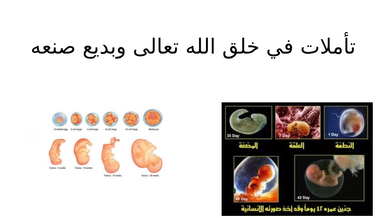 تأملات في قدرة الله تعالى وبديع صنعه