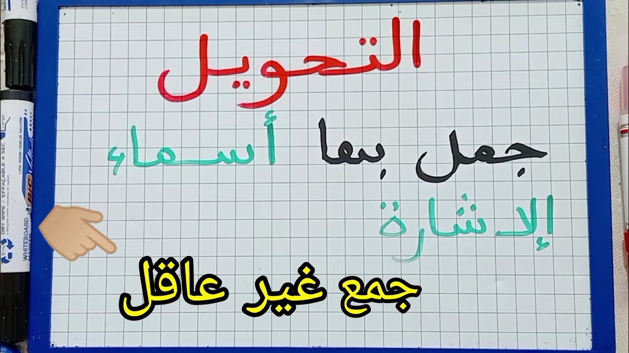 الدرس291:التحويل/كيف نكتب اسم الإشارة مع جمع غير عاقل/دروس مهمة 👍🏼👍🏼👍🏼/تحويل جمل إلى المثنى والجمع