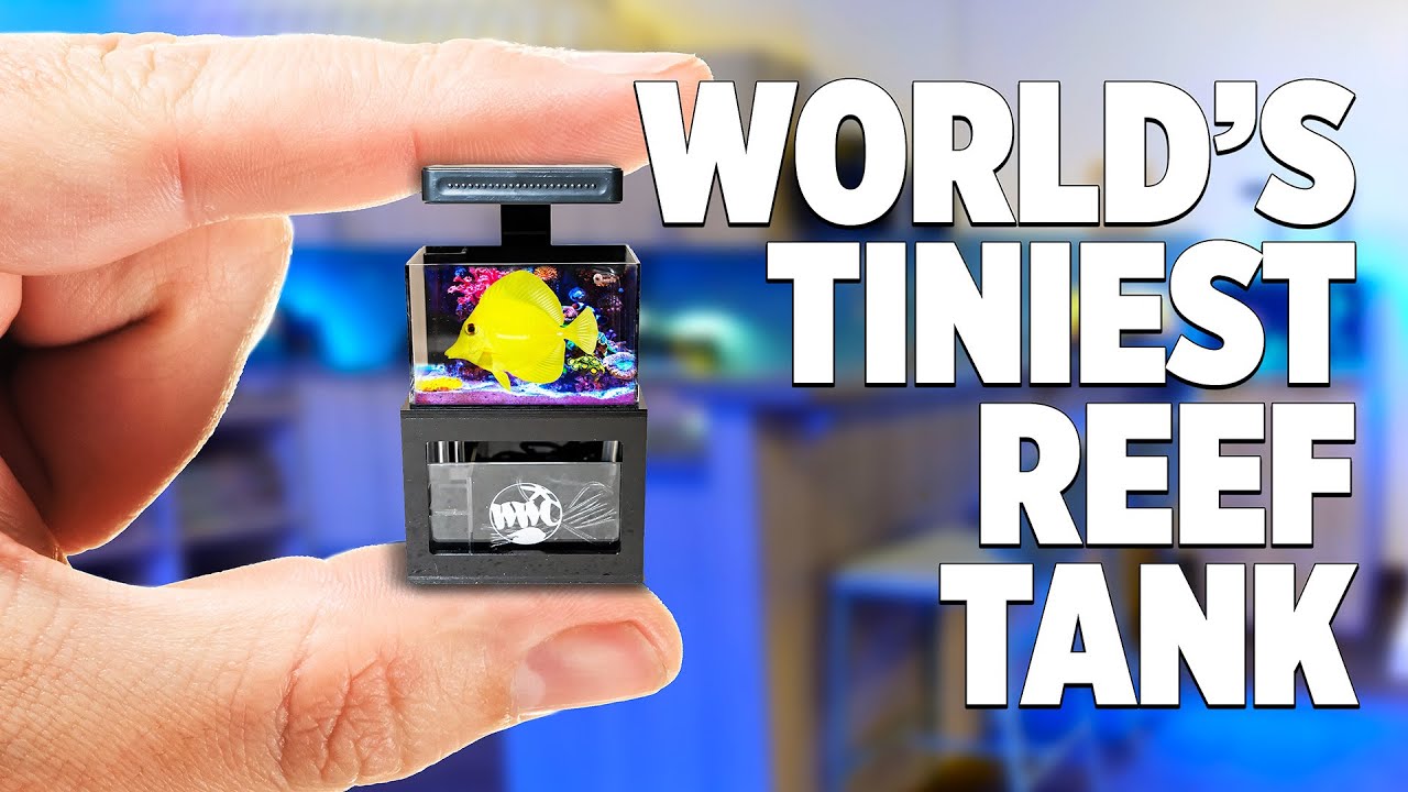 World's Smallest Reef? PNW Custom Micro Tank Product Review