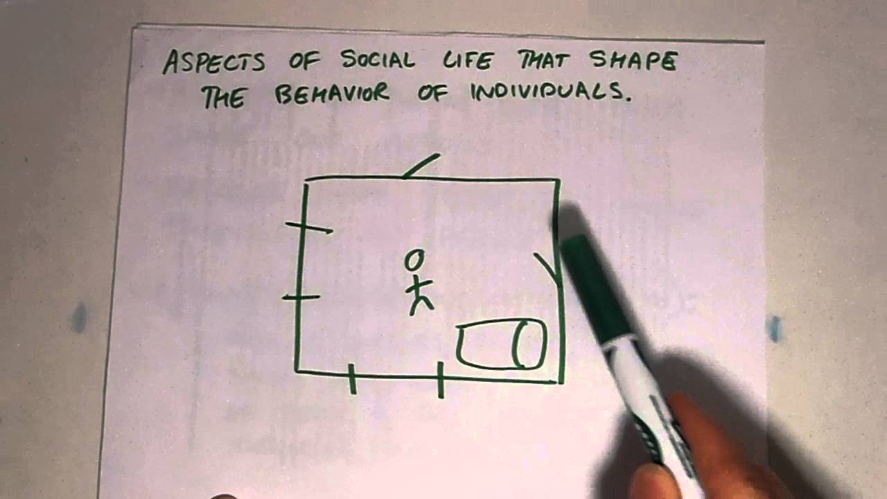 social fact