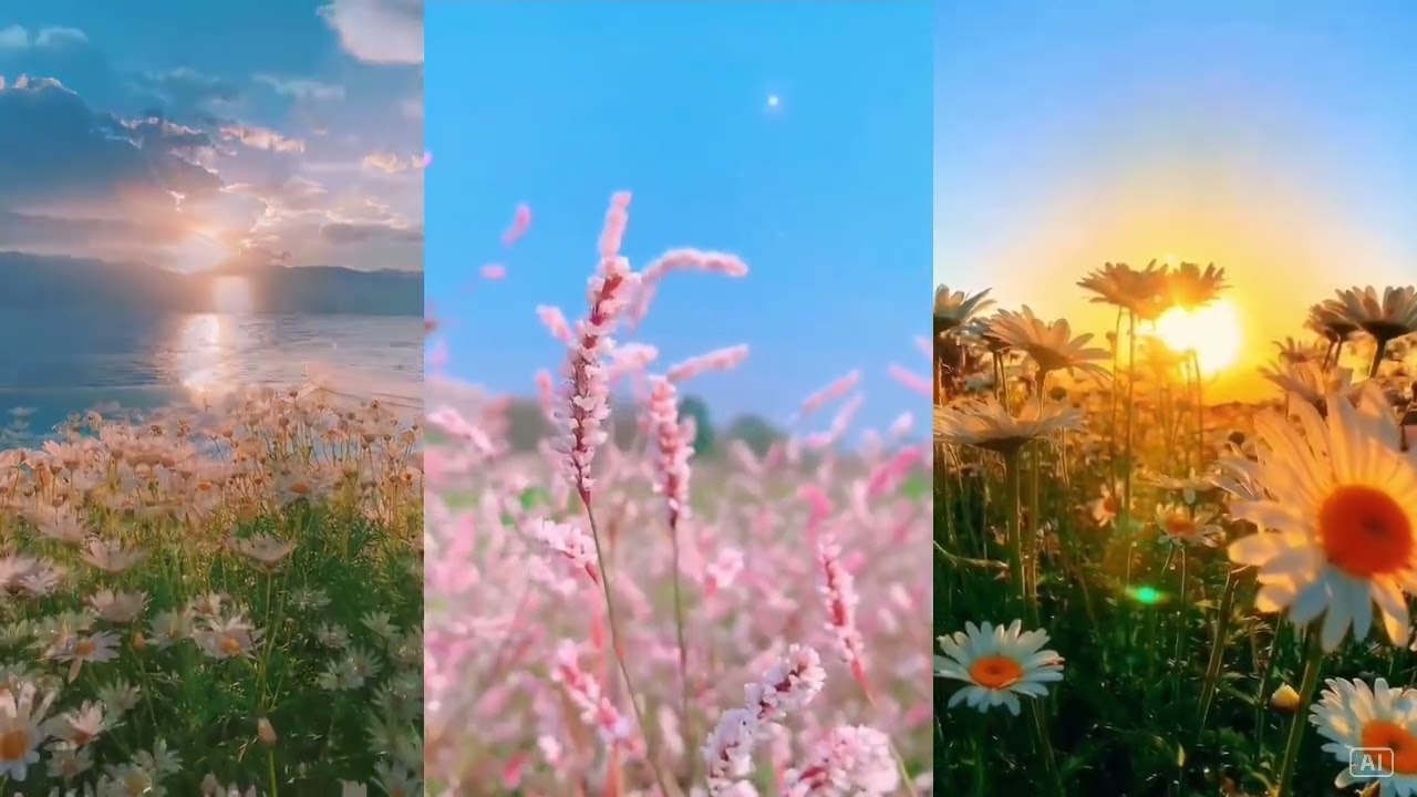 Mùa xuân tình yêu