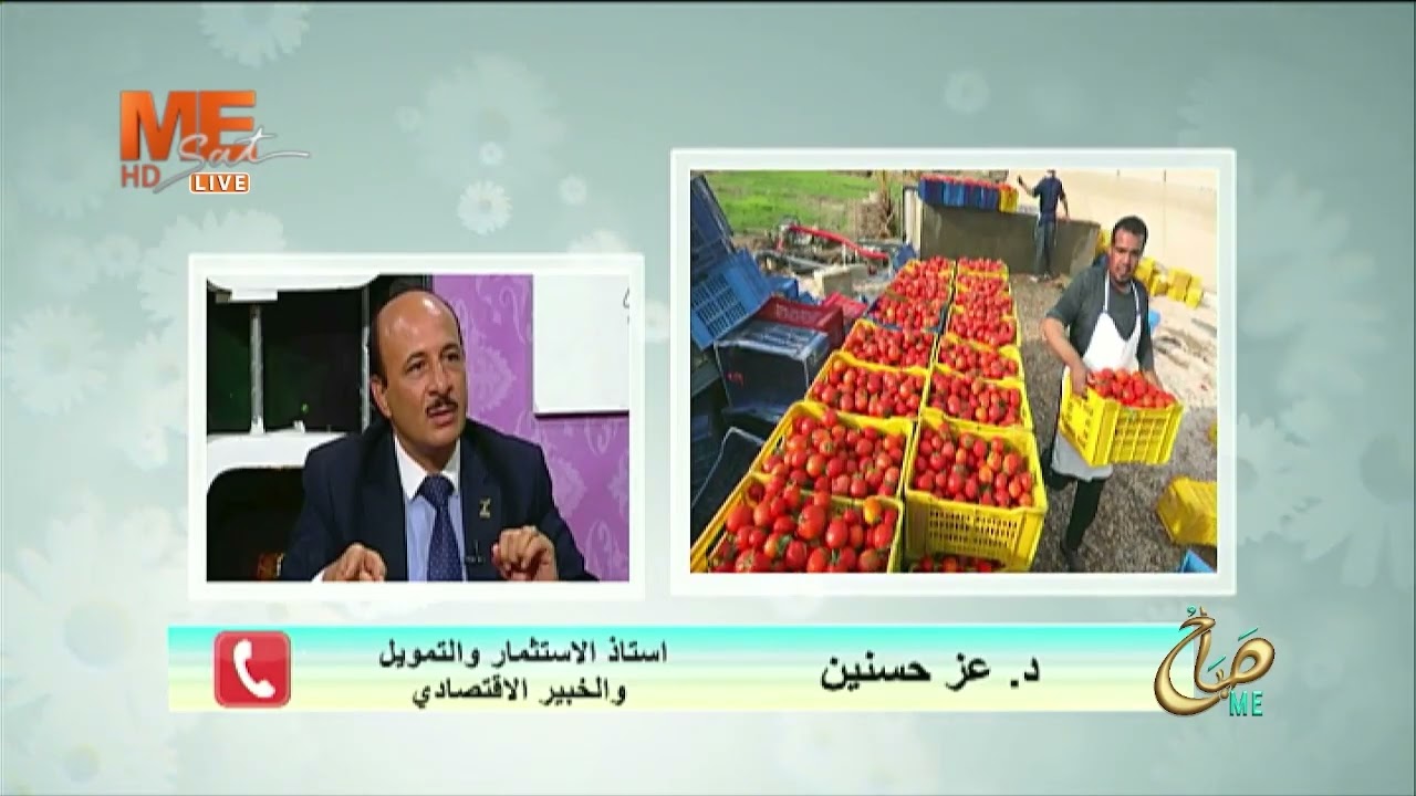 تصاعد التوترات بالمنطقة، الصادرات الزراعية أمام تحدي لوجيستي د. عز حسنين وأهم البدائل اللوجيستية