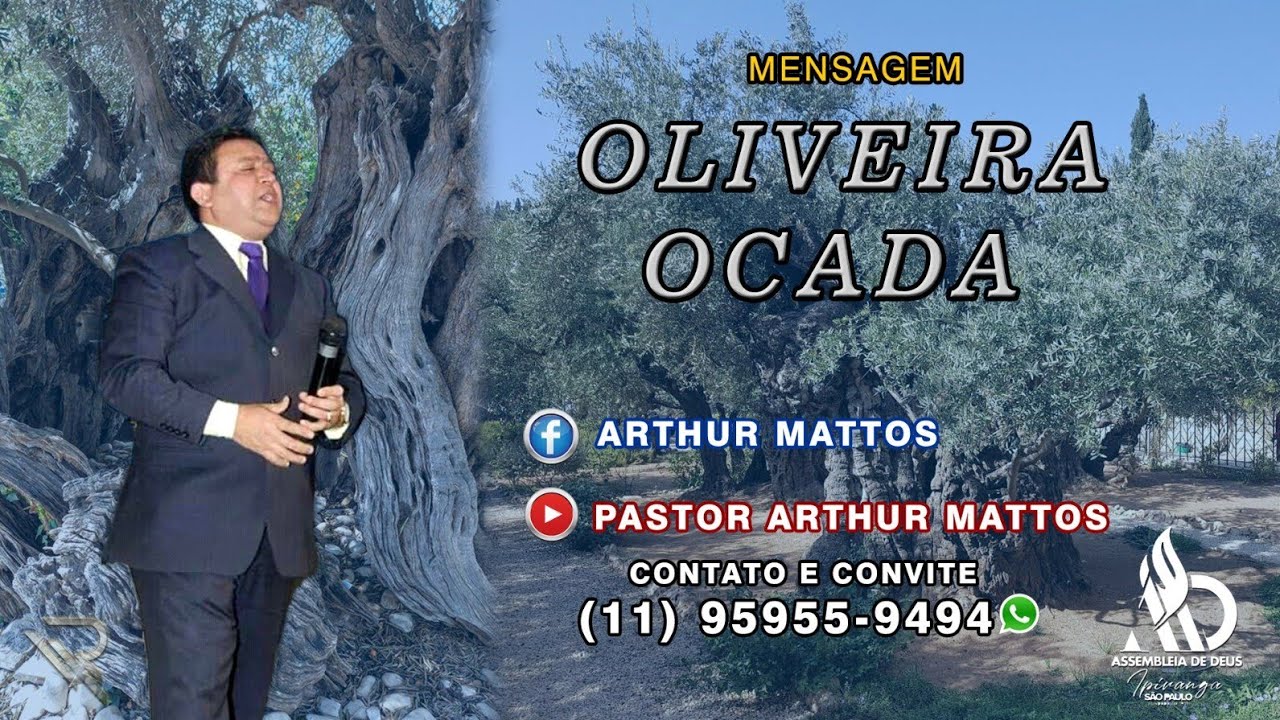 PR RTUR MATOS TEMA RABISCO DA OLIVEIRA  GUAIANAZES  S P