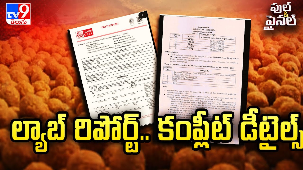Full & Final : ల్యాబ్ రిపోర్ట్.. కంప్లీట్ డీటైల్స్ | Tirumala Laddu Controversy - TV9