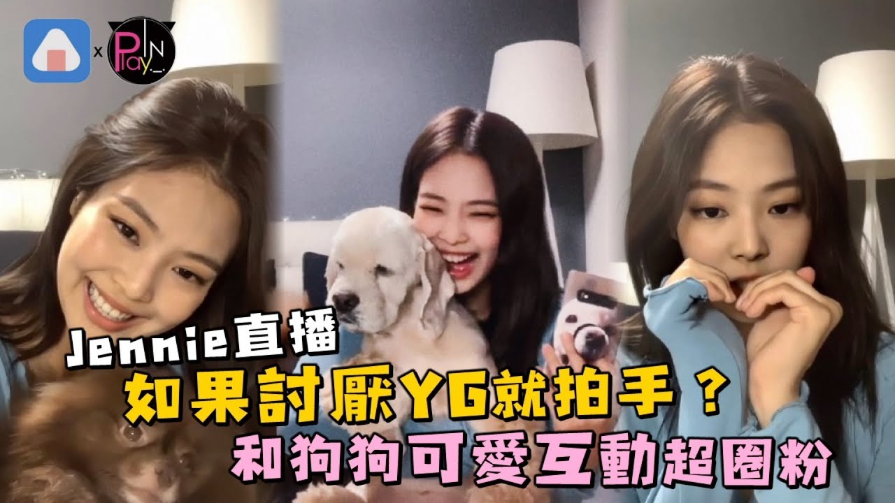如果討厭YG就拍手？JENNIE直播和狗狗可愛互動超圈粉