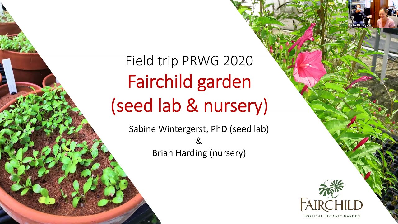 Virtual Tour of Fairchild seed lab and nursery conservation collection