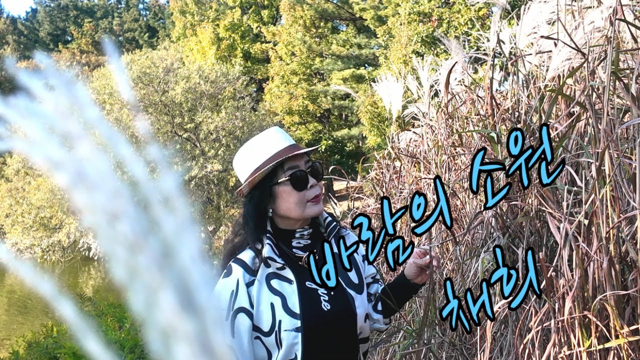 바람의소원...알토색소폰(#채희#정서윤#색소폰#발라드#가요#(#saxophone#pop#트롯트#박서진#대전jm#)