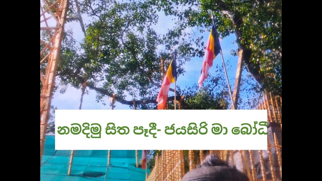 හද බැඳි මං පෙත | Episode 10 |  නමදිමු සිත පෑදී-ජයසිරි මා බෝධී