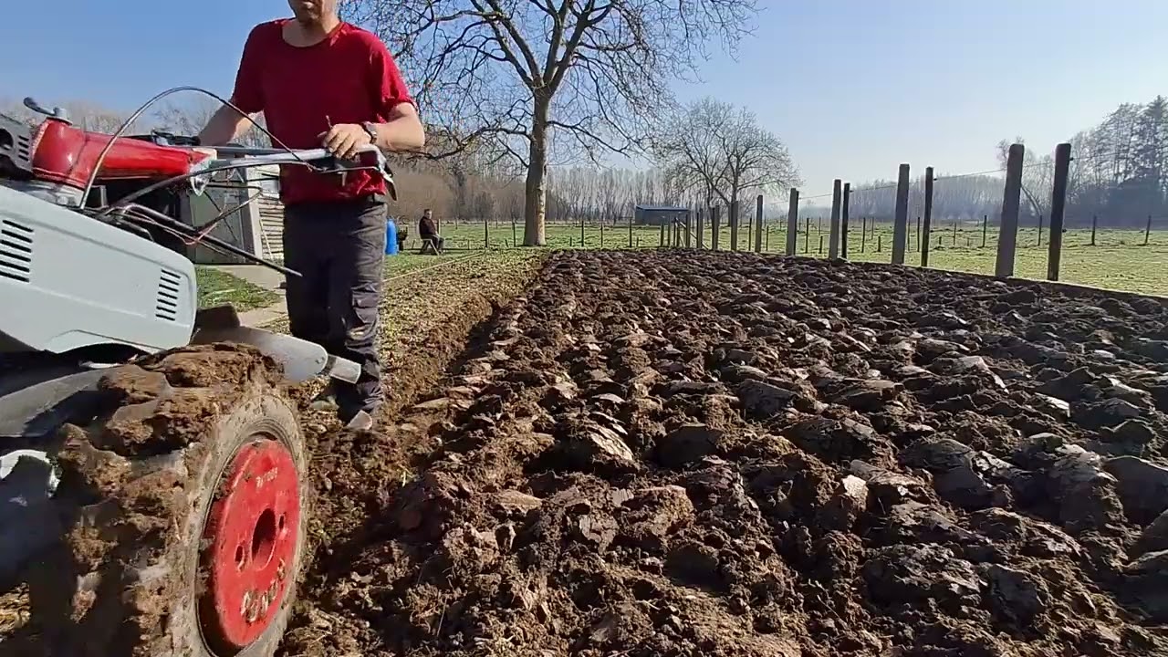 Ploegen van de tuin