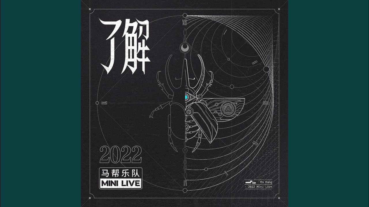 老槐树 (Live)