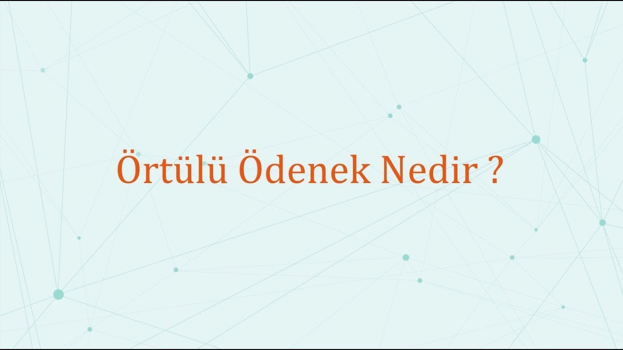 Örtülü Ödenek Nedir? - Ekonomi Mektebi