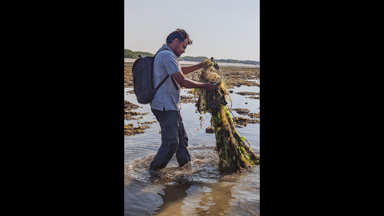 Ghost Net Removal | WTI Mithapur Coral Reef Recovery Project
