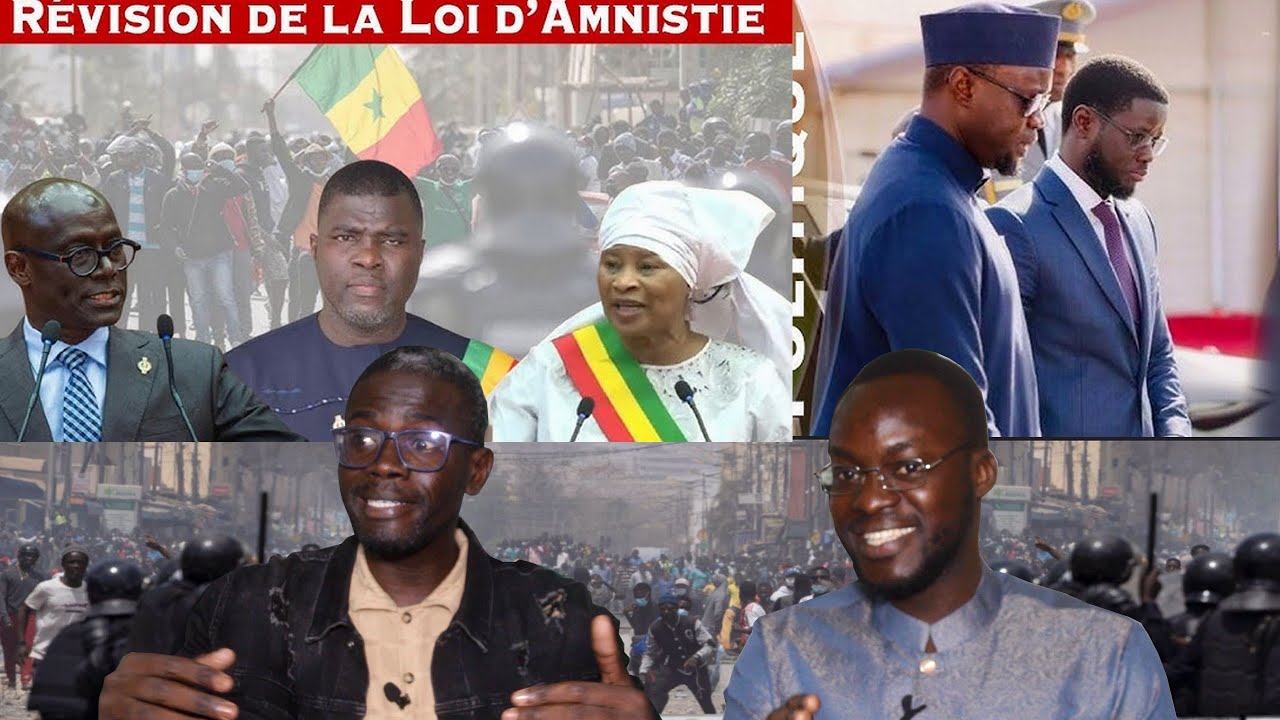 Adoption de la loi interpr&eacute;tative de l'amnistie : appr&eacute;ciations diverses et argument&eacute;es