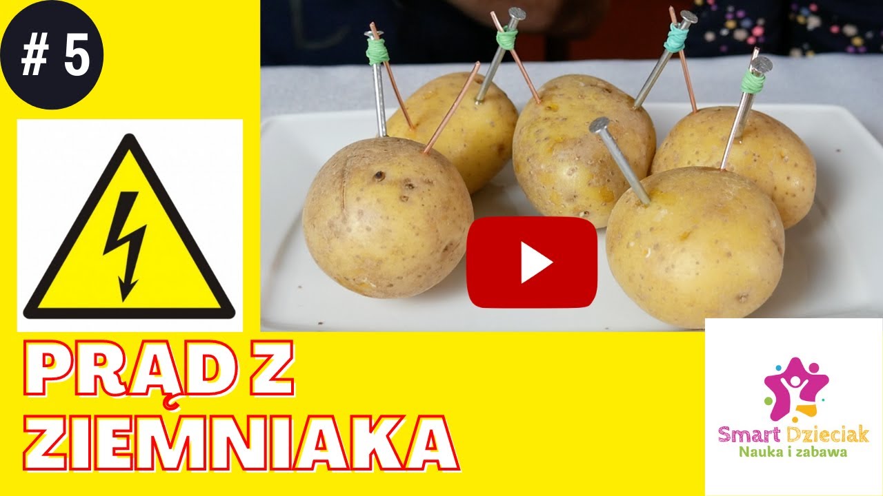 Eksperyment doświadczenie Prąd z ziemniaka