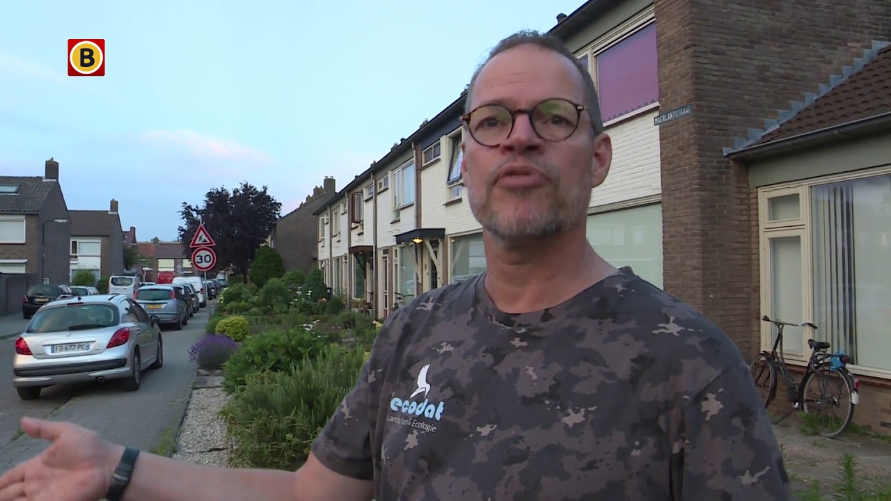 Gierzwaluwen, huismussen en vleermuizen tellen, 'je moet er wel een beetje gestoord voor zijn'