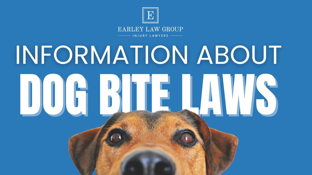 Dog Bite Liability Explained: What Victims Need to Know After a Dog Attack