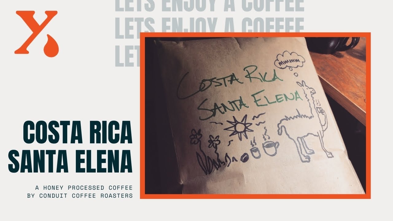 Honey Processed Costa Rica Santa Elena - Conduit Coffee - Let's Enjoy a Cup