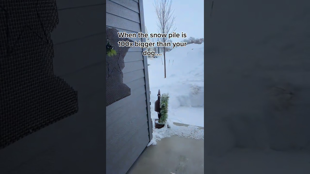 Only in Minnesota&hellip;.. #minnesota #minnesotawinter #mnwinter