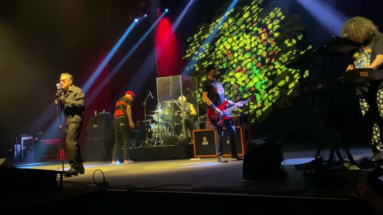 The Damned - Looking at You (MC5 cover), New York City 5/31/2024