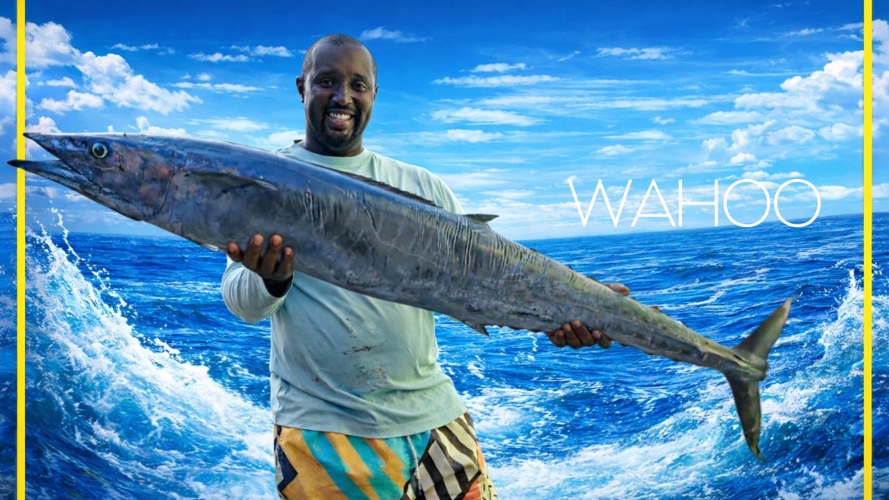 Trolling for tuna and wahoo, Jigging amberjack, black jack...