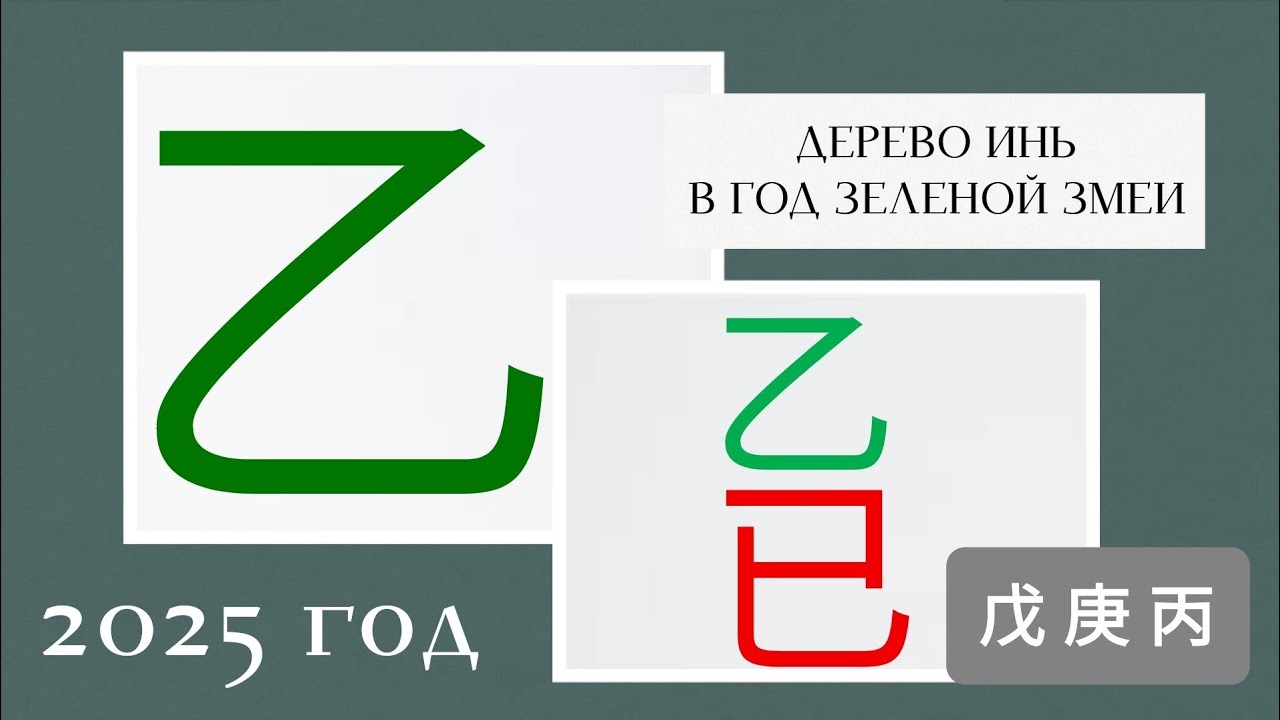 ДЕРЕВО ИНЬ | прогноз 2025 год