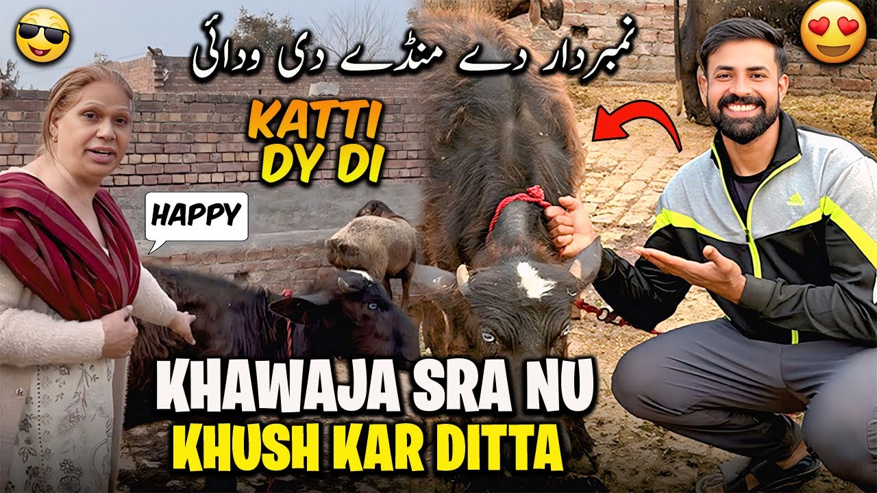 Aj Khawaja Sra Nu Khush Kar Ditta 😍 Katti Dy Di Us Ko | نمبردار دے منڈے دی ودائی
