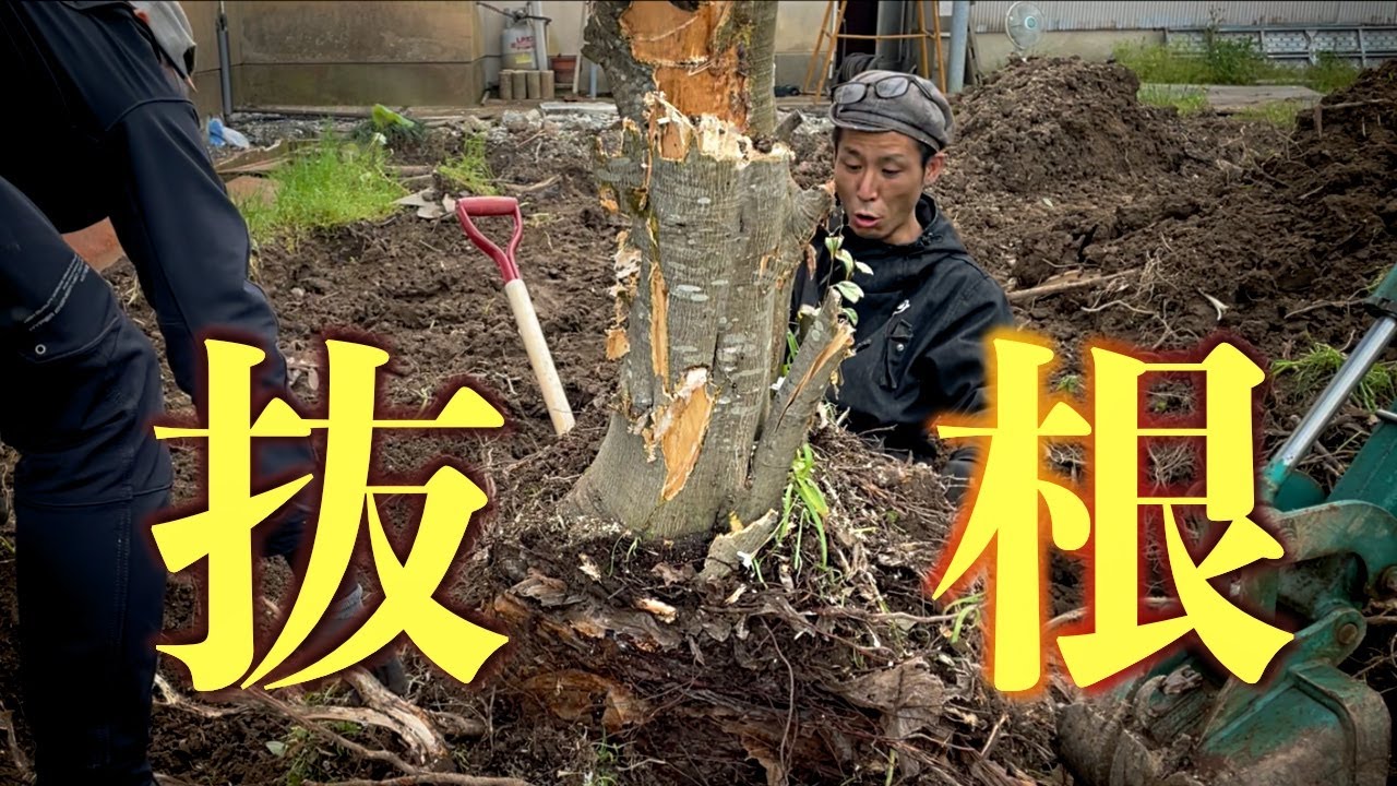 【トルネード抜根】憧れの下水道を目指す【穴掘り】