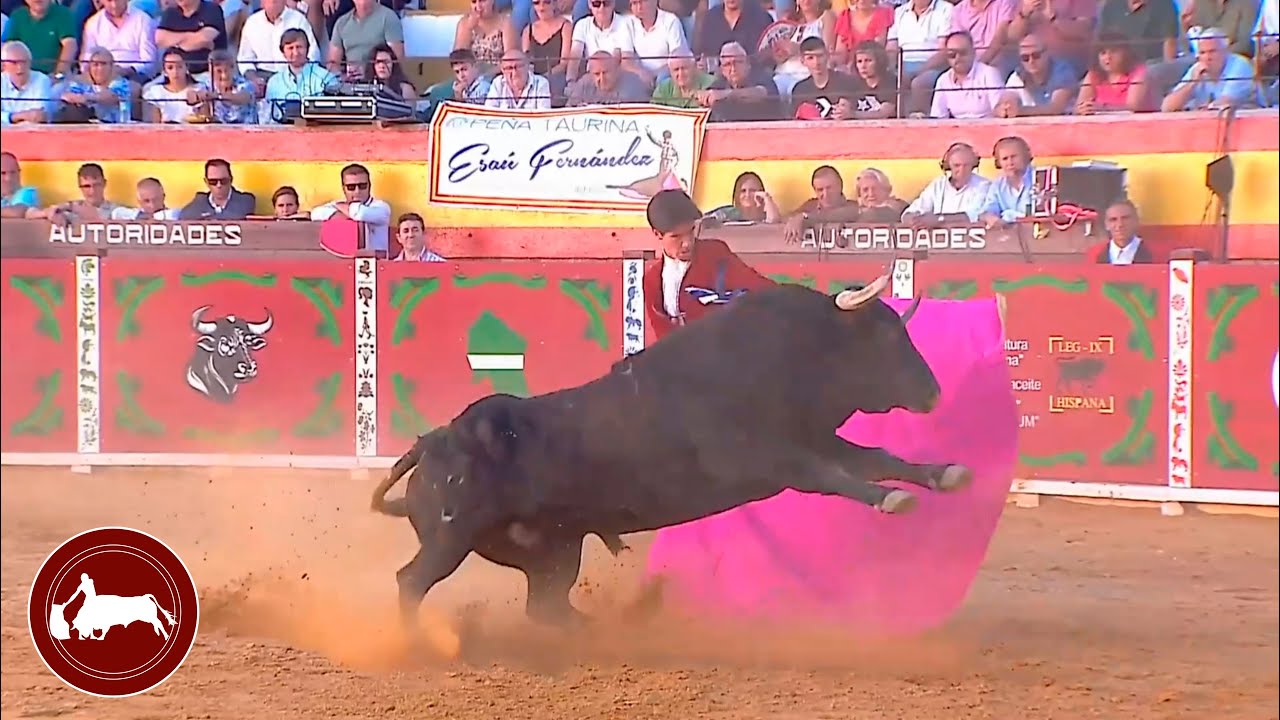 Esaú Fernández, segundo toro, corrida pictórica del aceite, Villacarrillo (Jaén) 15-09-2024