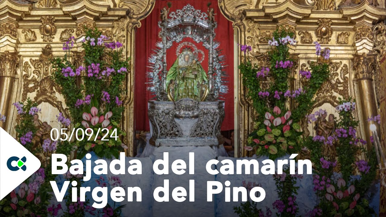 Bajada del camarín Virgen del Pino | 2024