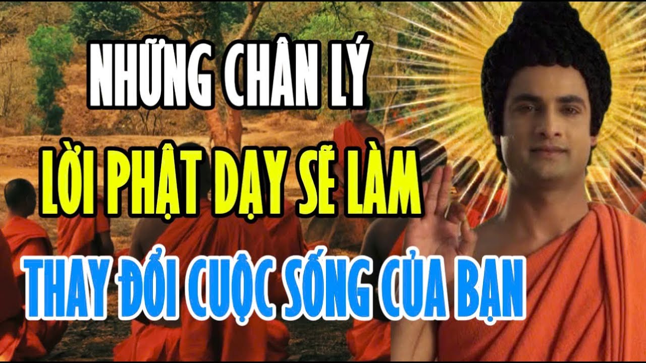Những Chân Lý Và Lời Dạy Của Đức Phật Nghe 1 Lần Sẽ Làm Thay Đổi Cuộc Sống Của Bạn