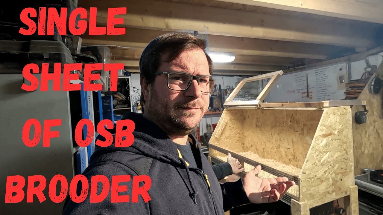 DIY Homestead Brooder