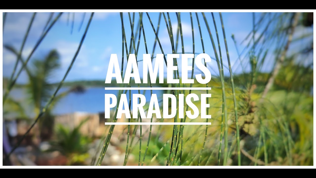 Aamees Paradise