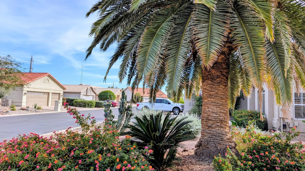 Arizona, гуляем