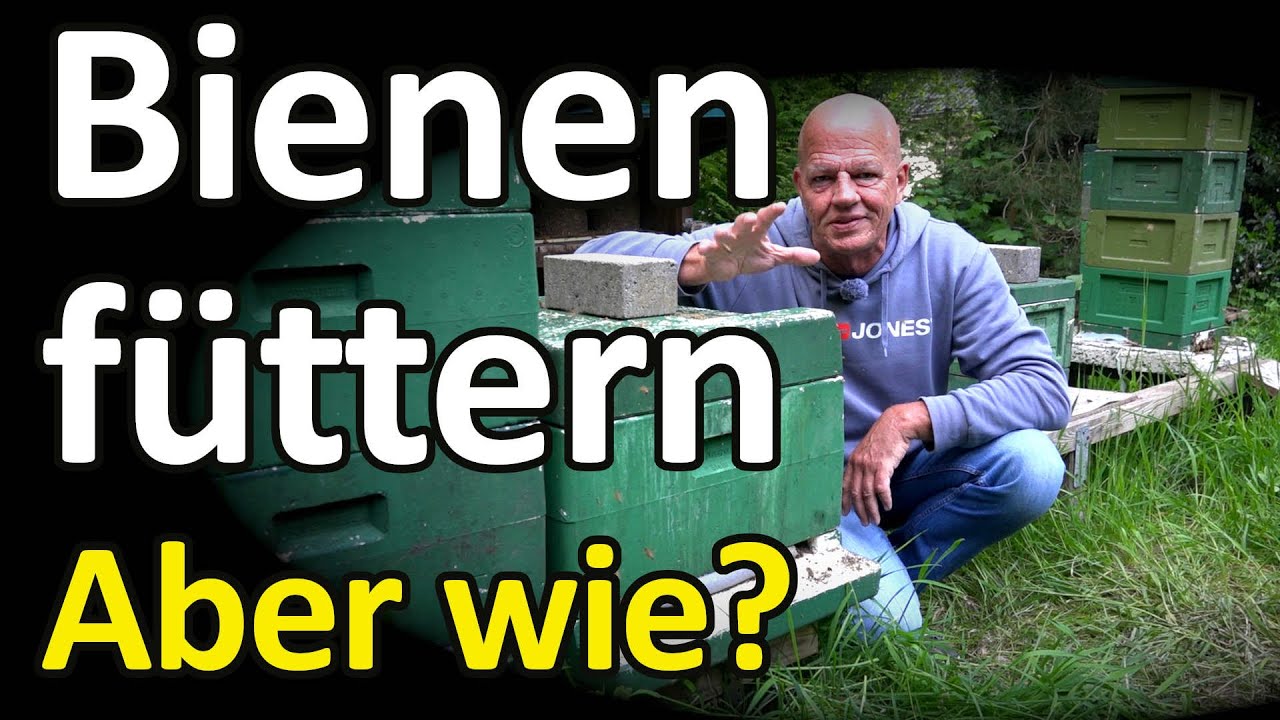 Bienen-Jungvölker füttern aber wie? Ableger erhält Ambrosia Futterteig, Schwarm erhält Zuckerwasser