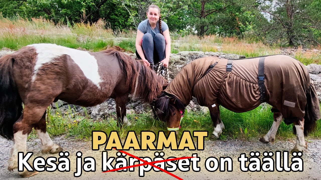 VLOG: Ihan tavallinen nopee tallipäivä ☀️