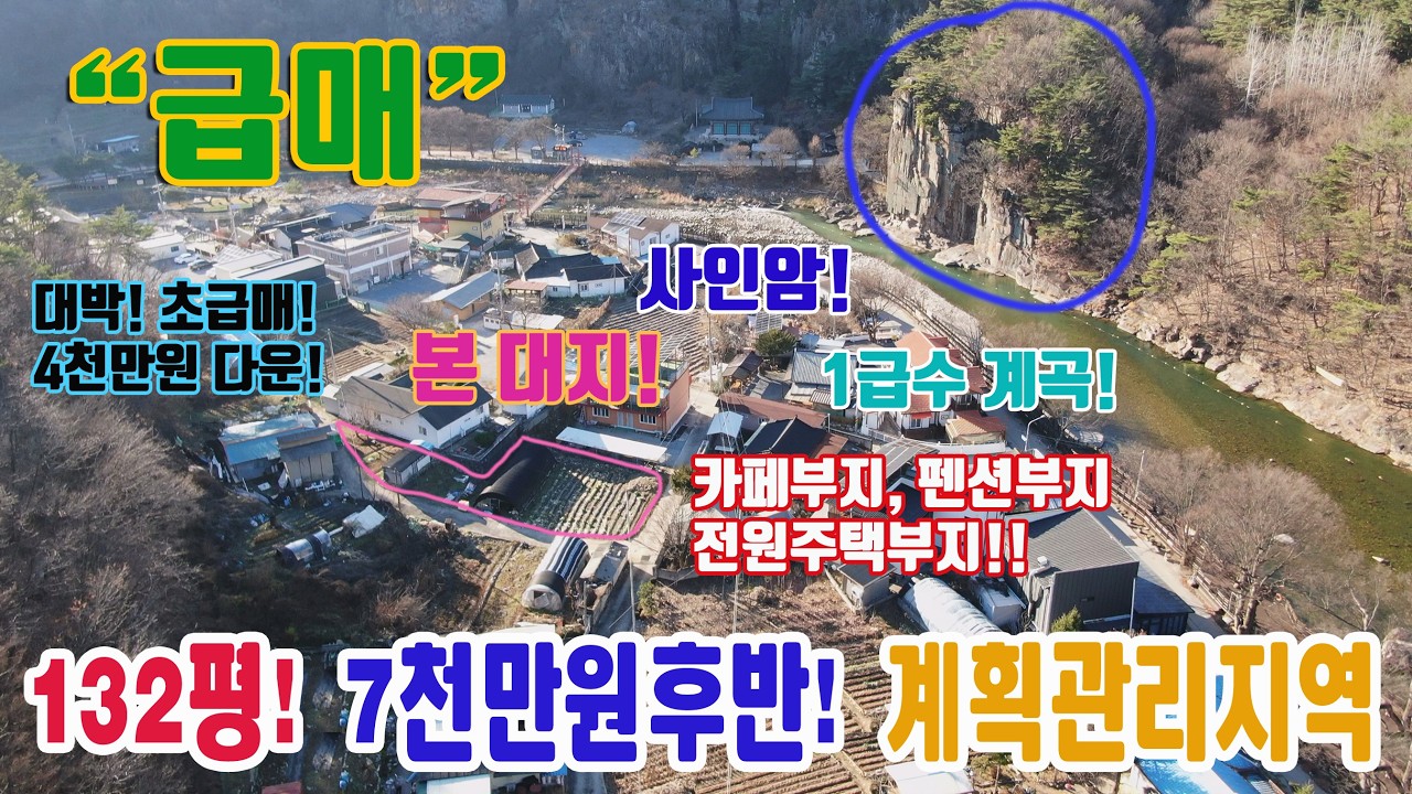 급매! 4천만원다운! 사인암 계곡 카페부지 전원주택부지 펜션부지 계획관리지역 439㎡ 132평 대지 7천만원후반 충북 단양군 대강면 사인암 대지 매매 단양팔경 단양부동산 강력추천