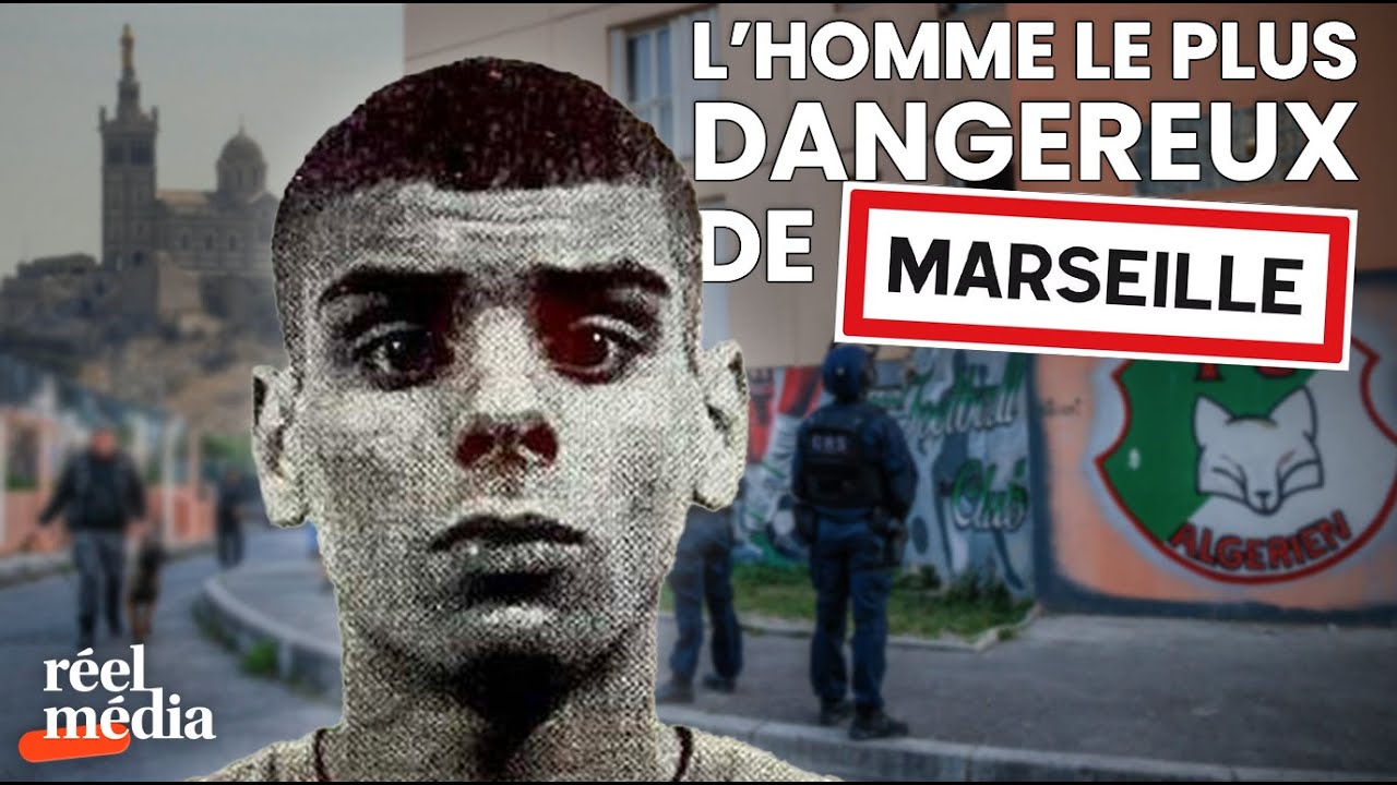 DZ Mafia : le gang qui terrorise le sud de la France
