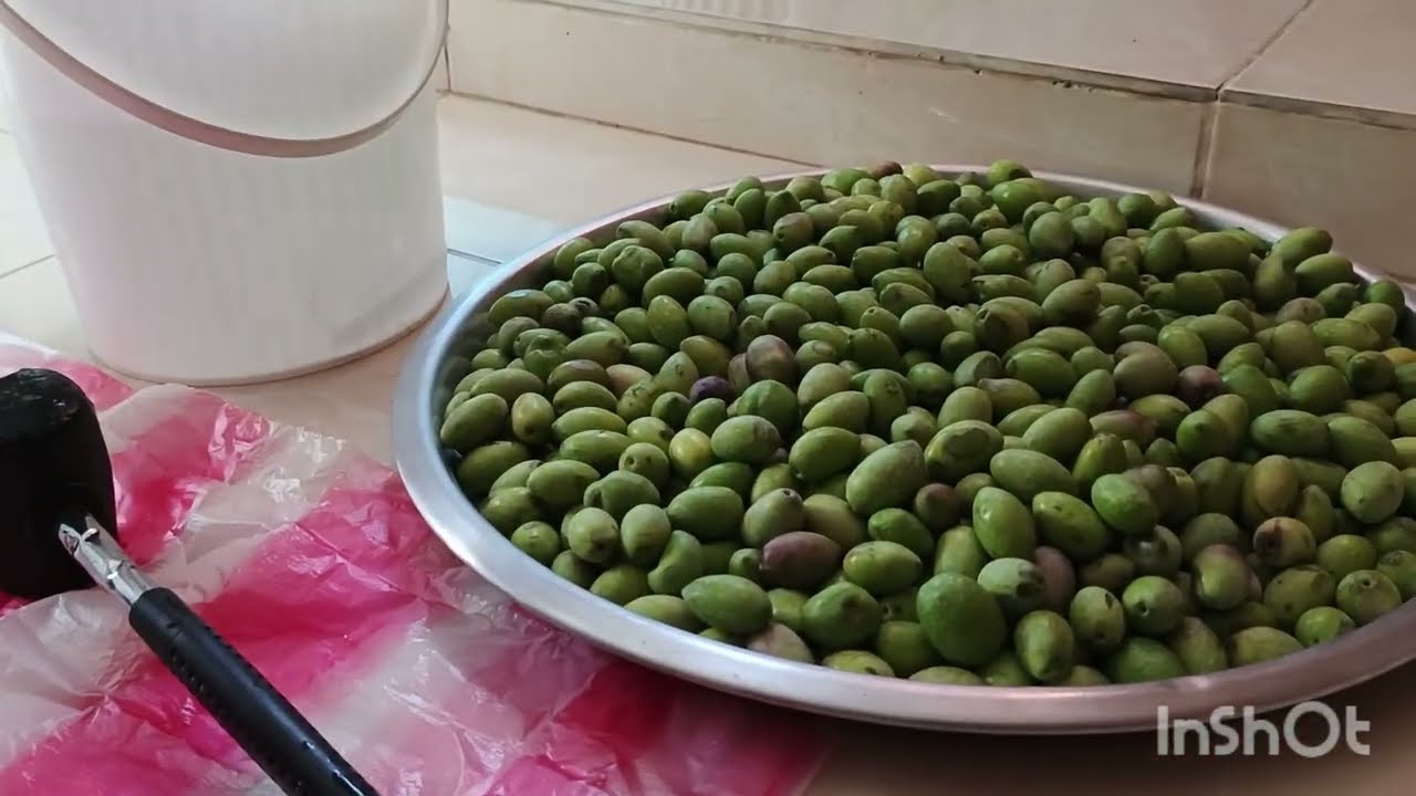الجزء الاول من طريقه جدتي في كبس الزيتون في الريف