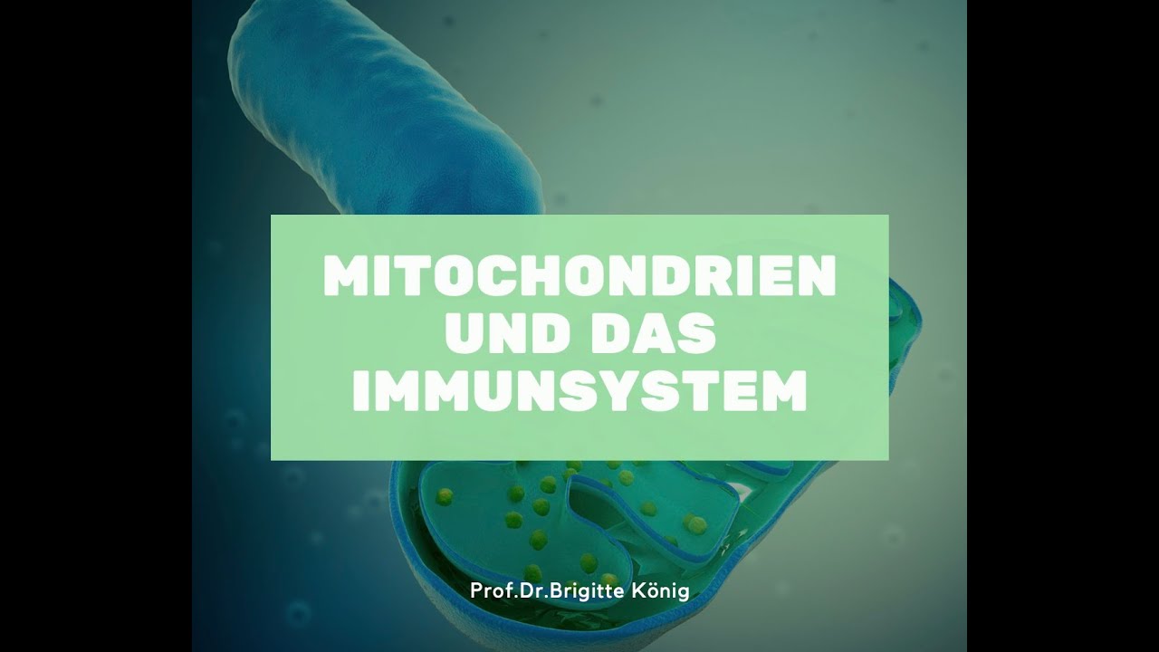 Experteninterview mit Prof.Dr. Brigitte König über Mitochondrien und das Immunsystem
