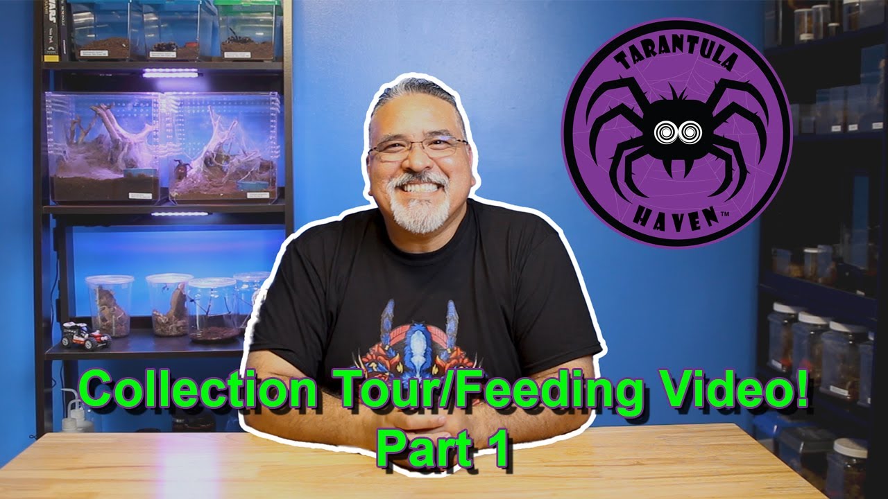Collection Tour/Feeding Video!  Part 1