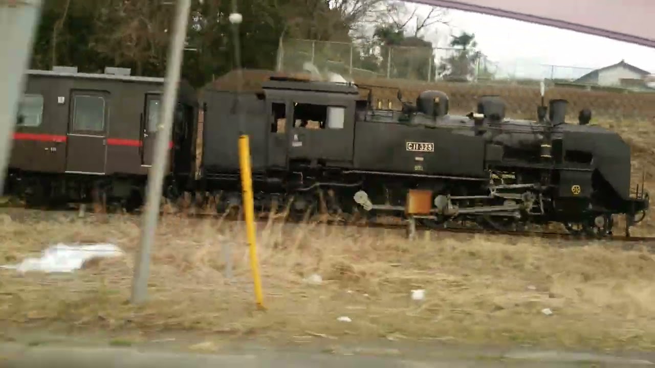 C11-325 並走 真岡鐵道