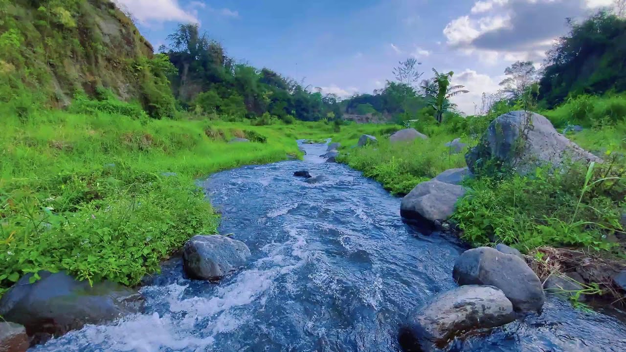Sleep Soundly with Calming River Sounds & Views of Flowing Water Over Rocks in a Peaceful Forest